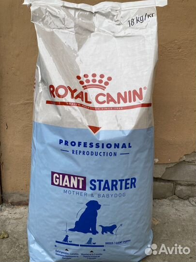 Сухой корм для собак