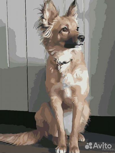 Картина по номерам под заказ по фото