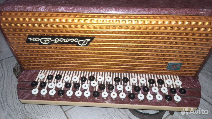 Баян Ростов-Дон