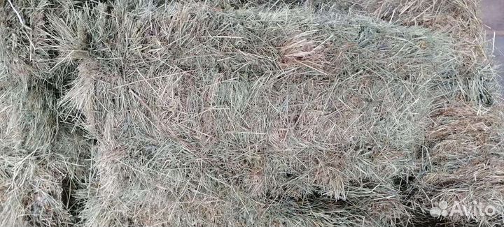 Сено в тюках