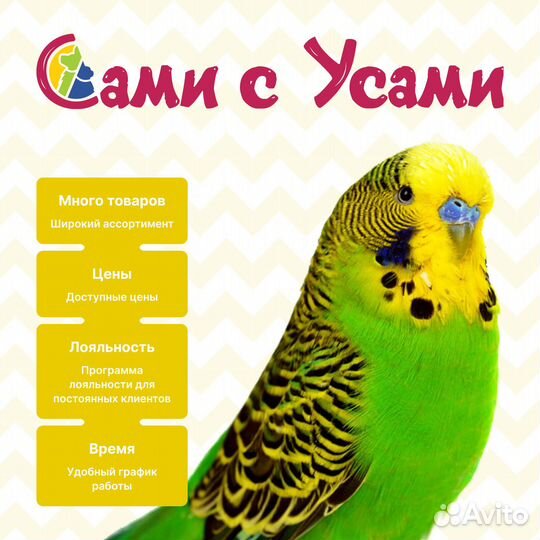 Royal canin Neutered Adult Medium Dog Корм сух