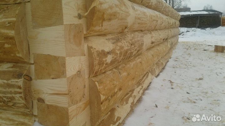 Срубы домов и бань