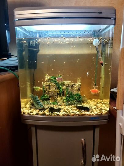 Аквариум
