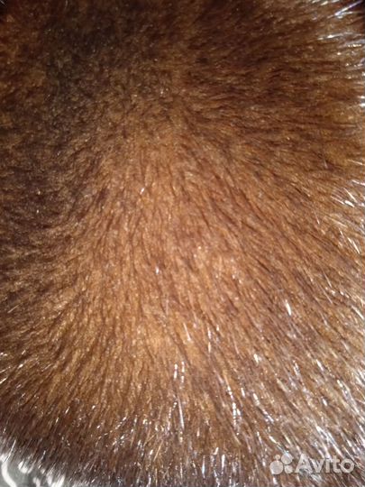 Шапка ушанка норка