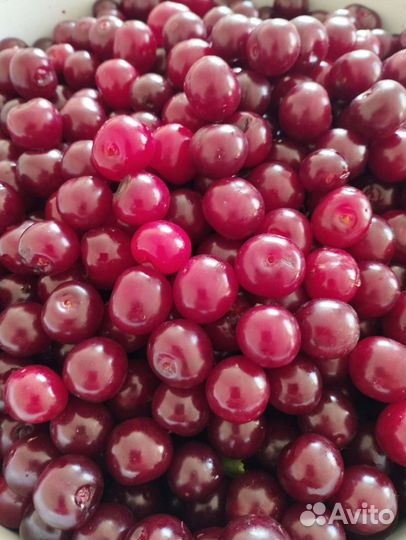 Вишня ягода свежая