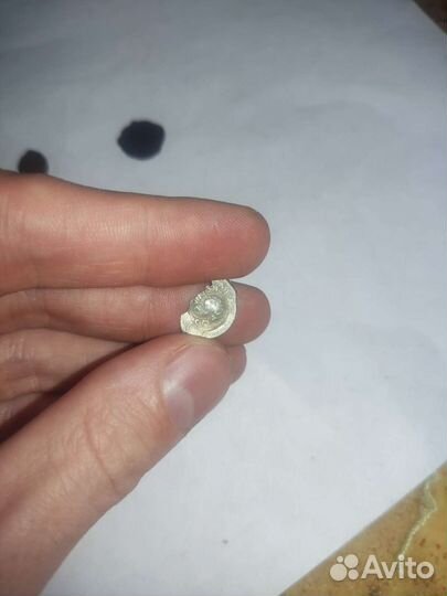 Монета чешуя удельная Василий Тёмный