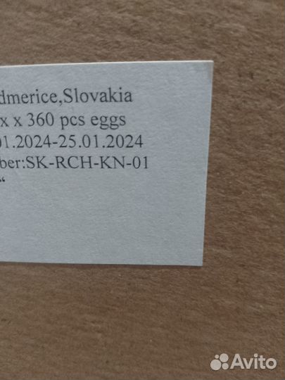 Бройлер Кобб 500, Росс 308, импорт 100