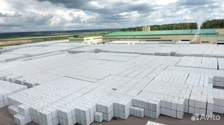 Пеноплэкс 100