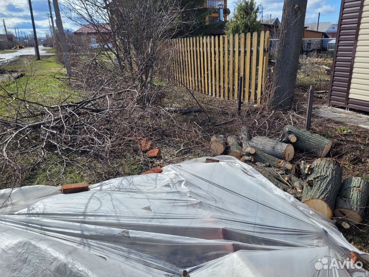 Спиливание,кронировани,измельчение деревьев