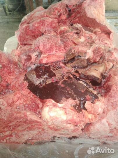 Корм для собак и кошек из субпродуктов