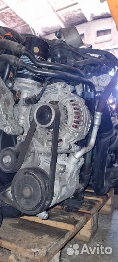 Двигатель Audi A3 8P BZB 2008