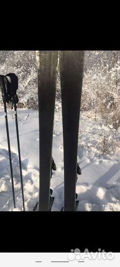 Горные лыжи спортцех