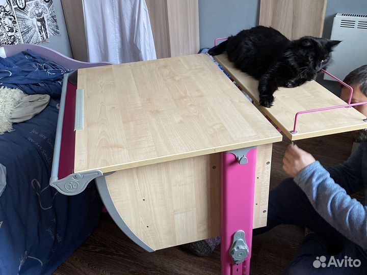 Ортопедическая парта со стулом и полочками