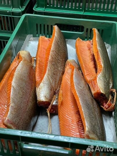 Балык форели х/к