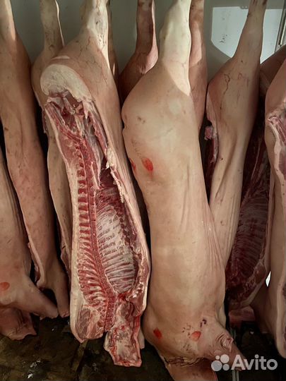 Свежее охлажденное мясо оптом