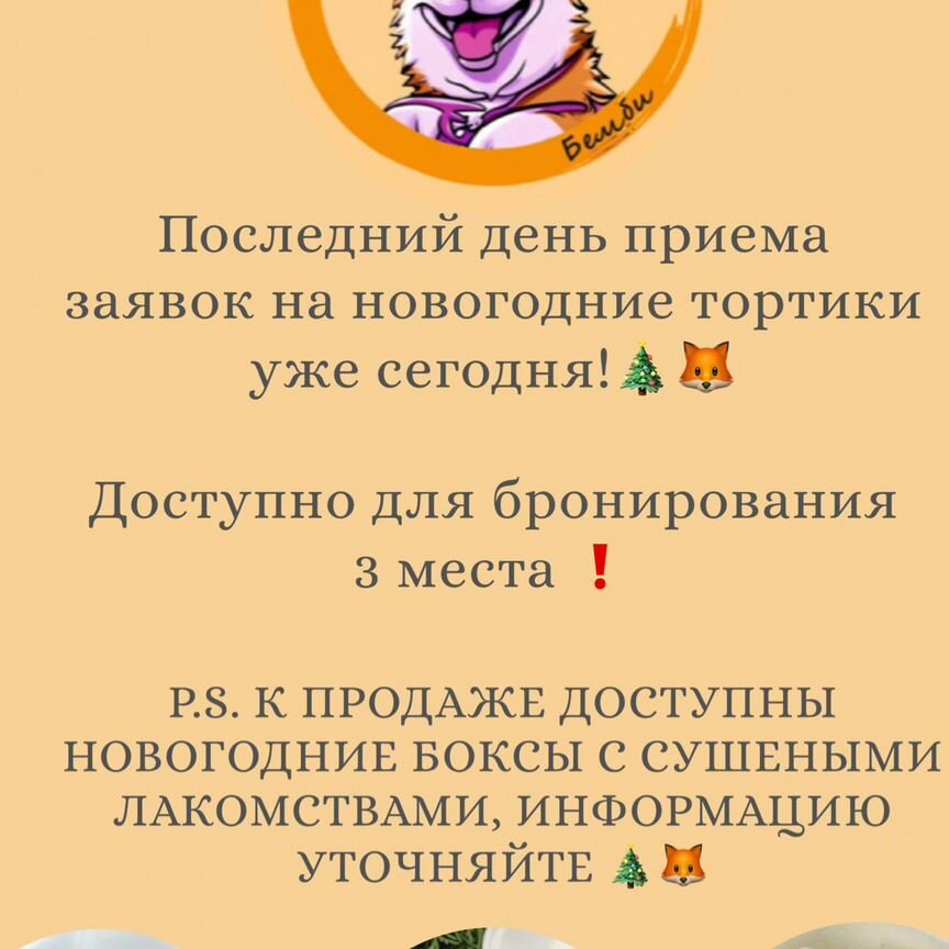 Торт на Новый год для собак