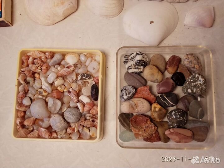 Коллекция ракушек, камней из дальних морей