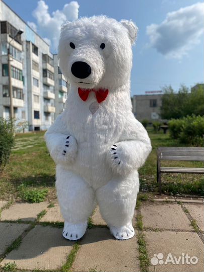 Белый мишка поздравление