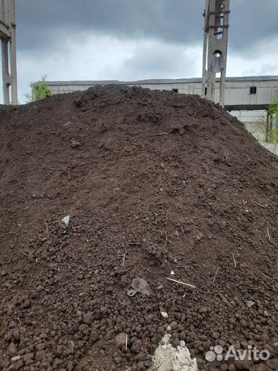 Навоз и перегной коровий и конский