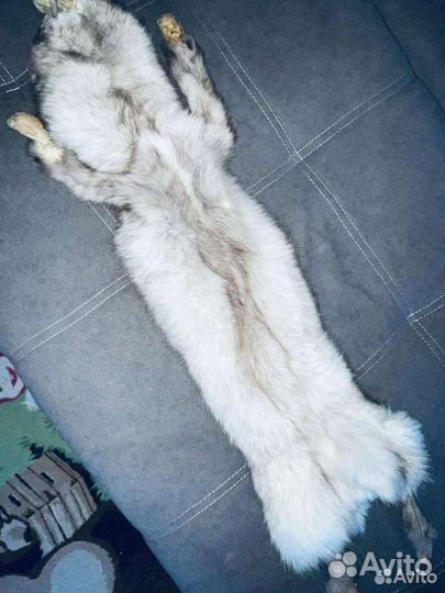 Шкурка животного