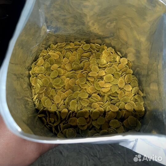 Сайдекс (cidex), хелена, корм