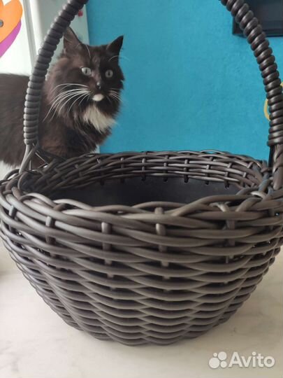 Кашпо, корзина для подарка