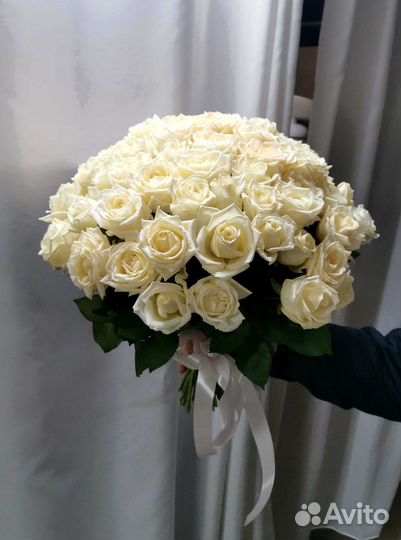 Розы с доставкой, букет роз 101 шт