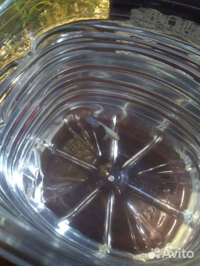 Аквариумный мини-крокодил