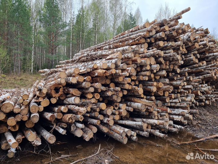 Береза дровяная с доставкой