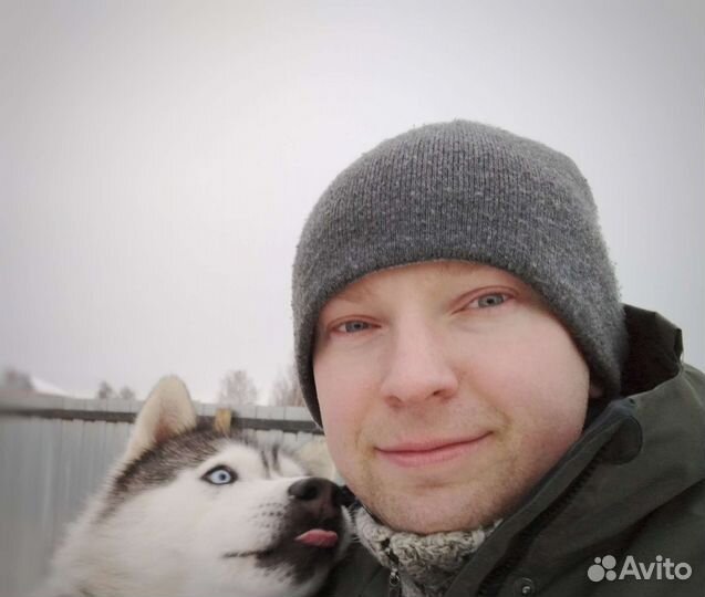 Программист 1с стажер