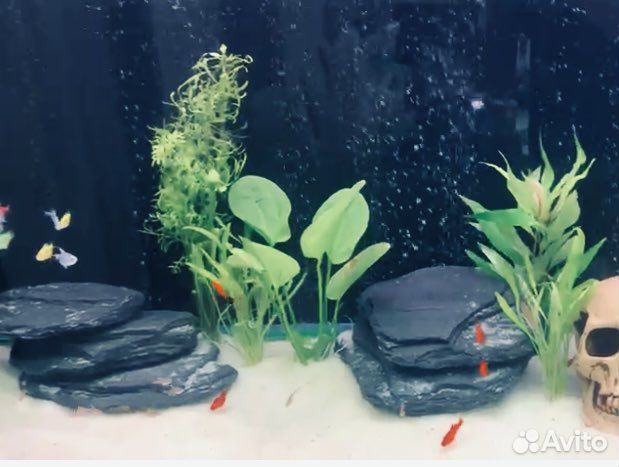 Черный сланец в аквариум