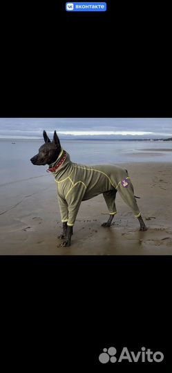 Термобельё