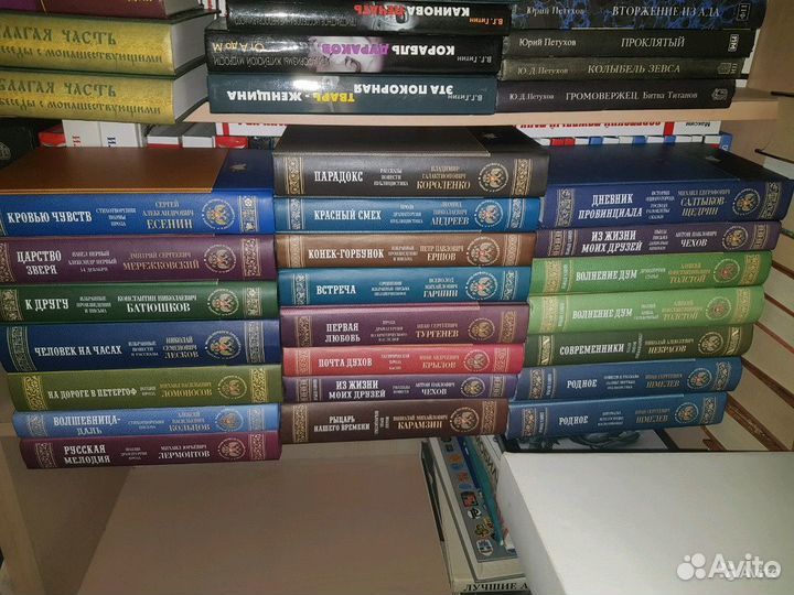 Серия Новая библиотека русской классики:24 вып