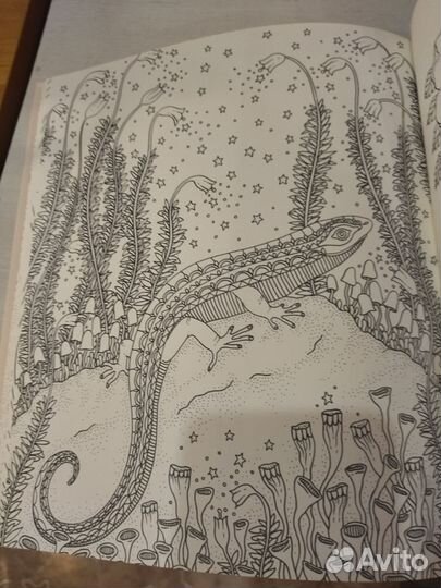 Оригинал раскраска Ханна Карлсон Сон в летнюю ночь