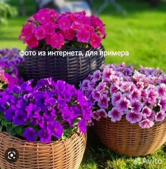 Кашпо шар