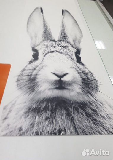 Фотообои детские