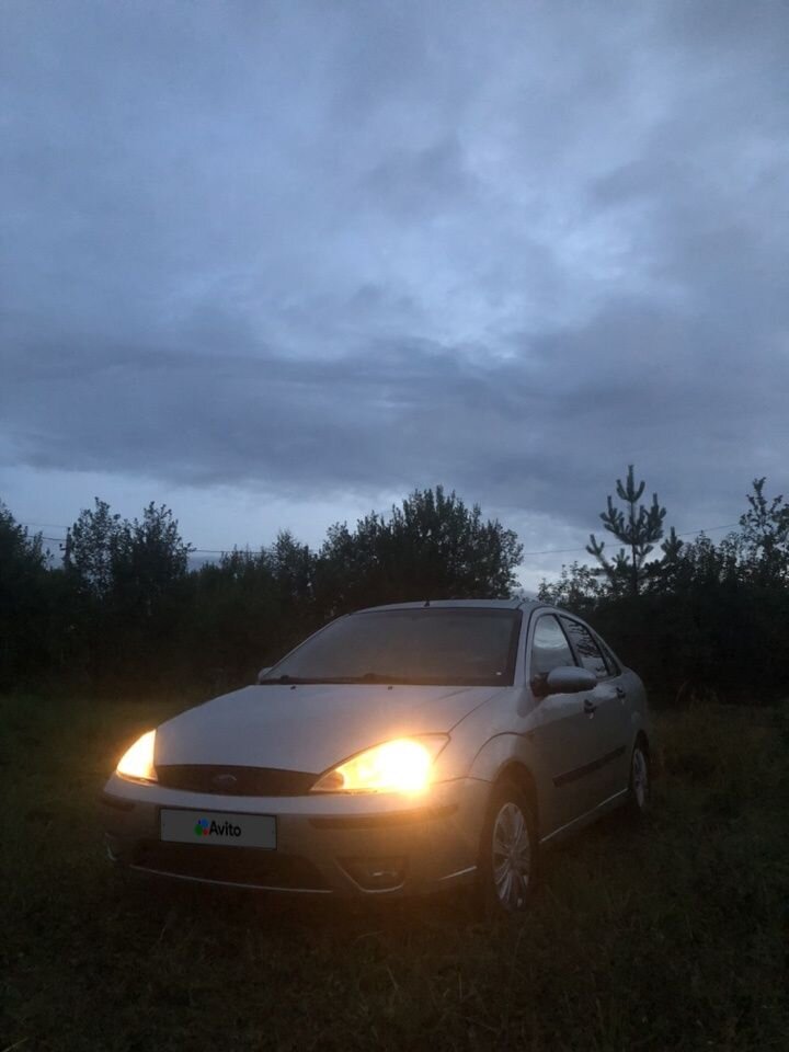 Ford Focus: фото владельца