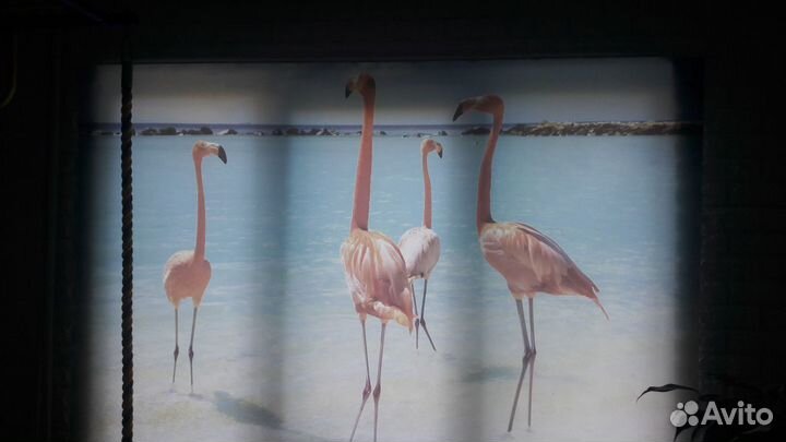 Жалюзи, рулонные шторы с фотопечатью