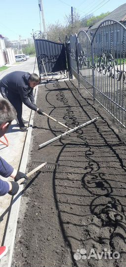 Рулонный,посевной газон,работы по подготовке