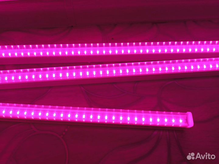 Фитолампа новая, фитосвелильник для рассады
