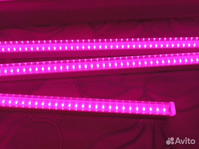 Фитолампа новая, фитосвелильник для рассады