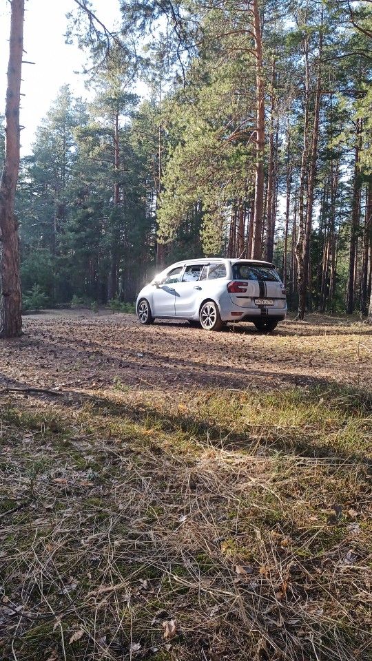 Citroen C4 Picasso: фото владельца