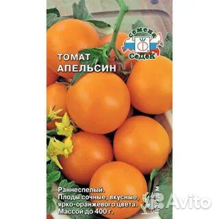 Рассада помидор