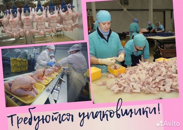 Упаковщик(ца) куриных лап Вахта Проживание