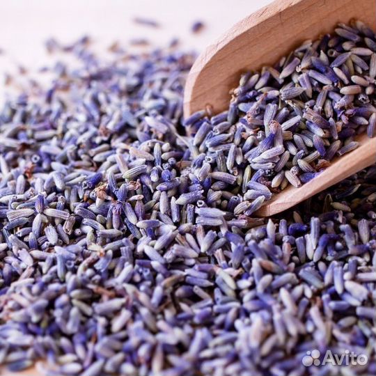 Лаванда сухоцвет цветы 100г