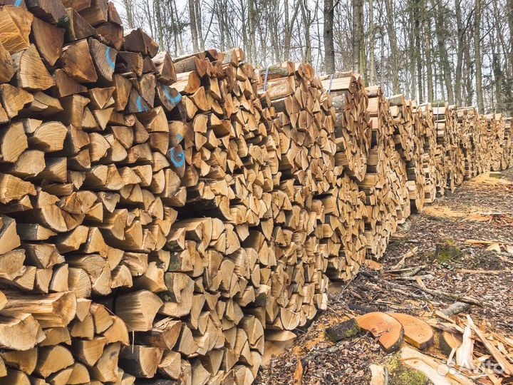 Дрова колотые твердых пород