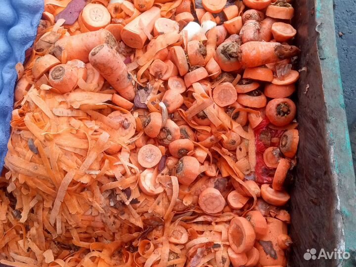 Морковь Картофель Очистки