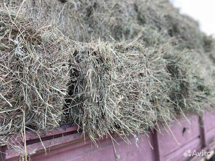 Сено в кипах