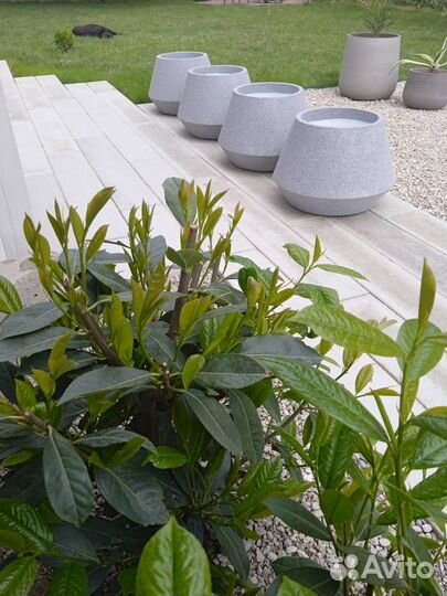 Вазон для цветов