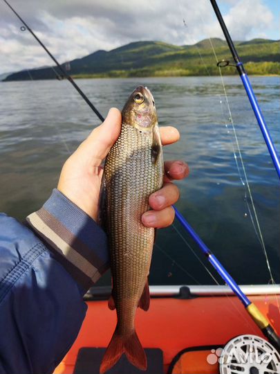 Крючки Chinu ring с напайкой в наличии и под заказ